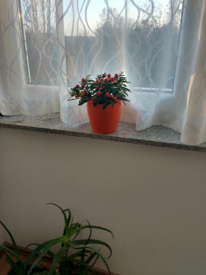 Meridian Apartment , 300M To Bus Terminal, Fast Wifi & Airport Transf Zagreb Dış mekan fotoğraf